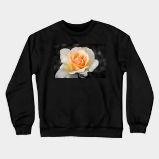 Centre Glow Crewneck Sweatshirt